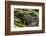 Green frog in the grass by Mattawamkeag River in Wytipitlock, Maine.-Jerry & Marcy Monkman-Framed Photographic Print