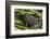 Green frog in the grass by Mattawamkeag River in Wytipitlock, Maine.-Jerry & Marcy Monkman-Framed Photographic Print