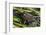 Green frog in the grass by Mattawamkeag River in Wytipitlock, Maine.-Jerry & Marcy Monkman-Framed Photographic Print