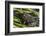 Green frog in the grass by Mattawamkeag River in Wytipitlock, Maine.-Jerry & Marcy Monkman-Framed Photographic Print