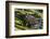 Green frog in the grass by Mattawamkeag River in Wytipitlock, Maine.-Jerry & Marcy Monkman-Framed Photographic Print