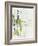 Green Glass I-June Vess-Framed Art Print