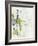 Green Glass I-June Vess-Framed Art Print