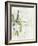 Green Glass I-June Vess-Framed Art Print