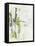 Green Glass I-June Vess-Framed Stretched Canvas