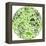 Green Globe Outline Made From Birds, Animals And Flowers Icons-Marish-Framed Stretched Canvas