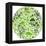 Green Globe Outline Made From Birds, Animals And Flowers Icons-Marish-Framed Stretched Canvas