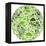 Green Globe Outline Made From Birds, Animals And Flowers Icons-Marish-Framed Stretched Canvas
