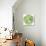 Green Globe Outline Made From Birds, Animals And Flowers Icons-Marish-Framed Stretched Canvas displayed on a wall