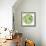 Green Globe Outline Made From Birds, Animals And Flowers Icons-Marish-Framed Premium Giclee Print displayed on a wall