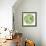 Green Globe Outline Made From Birds, Animals And Flowers Icons-Marish-Framed Premium Giclee Print displayed on a wall