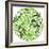 Green Globe Outline Made From Birds, Animals And Flowers Icons-Marish-Framed Premium Giclee Print