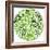 Green Globe Outline Made From Birds, Animals And Flowers Icons-Marish-Framed Art Print