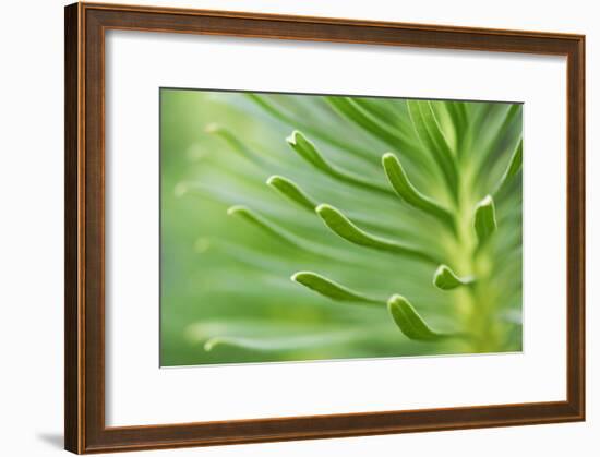 Green Goddess 2-Ross Gordon-Framed Giclee Print