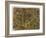 Green Gold 2-Maria Pietri Lalor-Framed Giclee Print