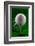 Green Golf Ball Splash-Steve Gadomski-Framed Photographic Print