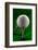 Green Golf Ball Splash-Steve Gadomski-Framed Photographic Print