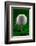 Green Golf Ball Splash-Steve Gadomski-Framed Photographic Print