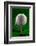 Green Golf Ball Splash-Steve Gadomski-Framed Photographic Print