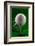 Green Golf Ball Splash-Steve Gadomski-Framed Photographic Print