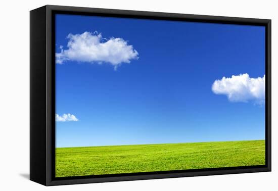 Green Grass and Blue Sky-Marina Pissarova-Framed Premier Image Canvas