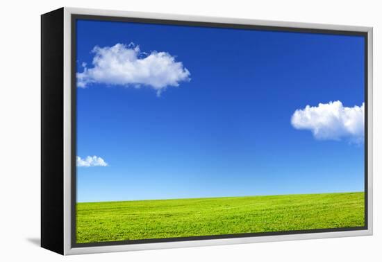 Green Grass and Blue Sky-Marina Pissarova-Framed Premier Image Canvas