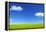 Green Grass and Blue Sky-Marina Pissarova-Framed Premier Image Canvas