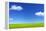 Green Grass and Blue Sky-Marina Pissarova-Framed Premier Image Canvas