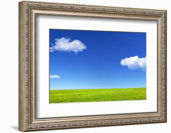 Green Grass and Blue Sky-Marina Pissarova-Framed Photographic Print