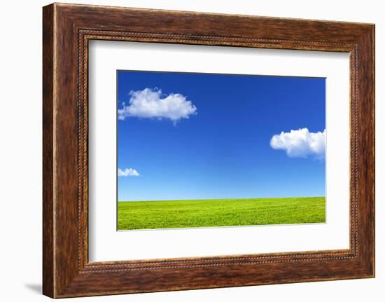 Green Grass and Blue Sky-Marina Pissarova-Framed Photographic Print