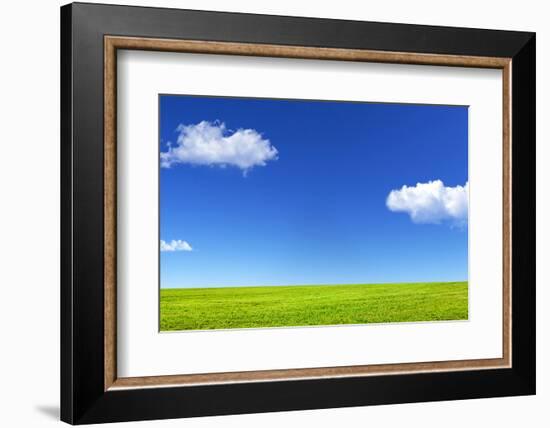 Green Grass and Blue Sky-Marina Pissarova-Framed Photographic Print