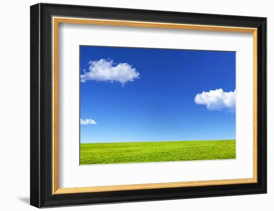 Green Grass and Blue Sky-Marina Pissarova-Framed Photographic Print