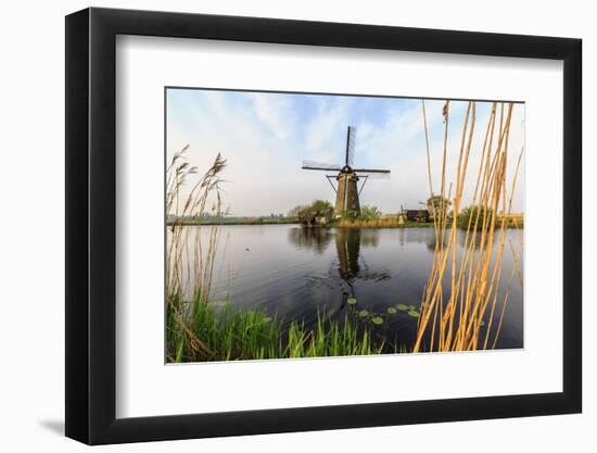 Green Grass and Reed Beds Frame Windmills Reflected in Canal Kinderdijk, South Holland, Netherlands-Roberto Moiola-Framed Photographic Print