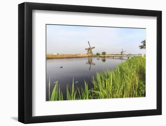 Green Grass Frames the Windmills Reflected in the Canal, Netherlands-Roberto Moiola-Framed Photographic Print