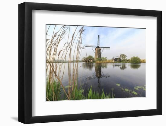 Green Grass Frames the Windmills Reflected in the Canal, Netherlands-Roberto Moiola-Framed Photographic Print