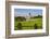 Green grass of park leading to South Dakota State Capitol and complex, Pierre, South Dakota-null-Framed Photographic Print