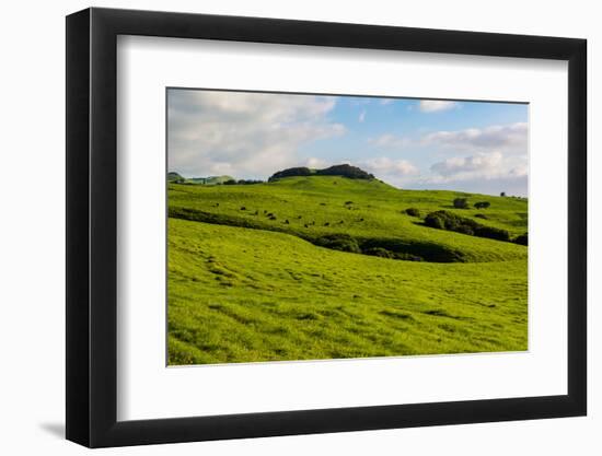 Green grass pasture land near Waimea, Big Island, Hawaii-Mark A Johnson-Framed Photographic Print