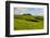 Green grass pasture land near Waimea, Big Island, Hawaii-Mark A Johnson-Framed Photographic Print