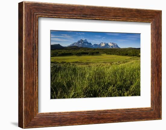 Green Grass, Torres Del Paine National Park, Patagonia, Chile, South America-Michael Runkel-Framed Photographic Print