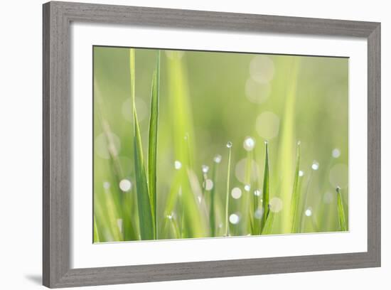 Green Grass-Yanika-Framed Art Print