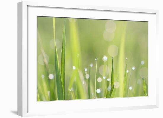 Green Grass-Yanika-Framed Art Print