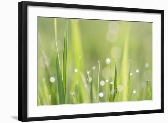 Green Grass-Yanika-Framed Art Print