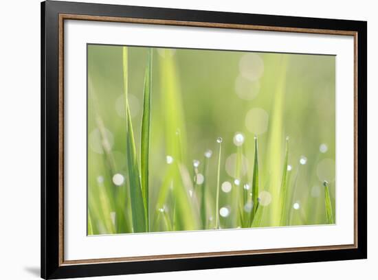 Green Grass-Yanika-Framed Art Print