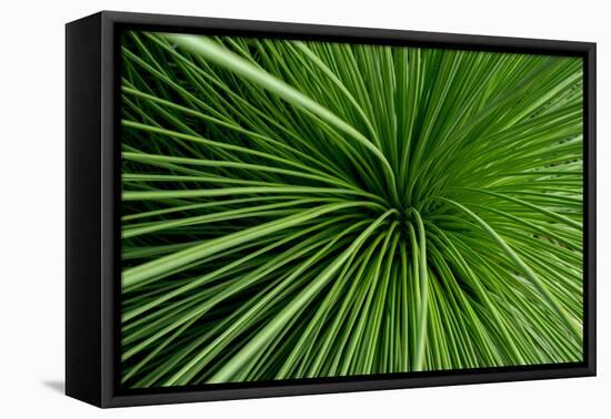 Green Grass-Charles Bowman-Framed Premier Image Canvas