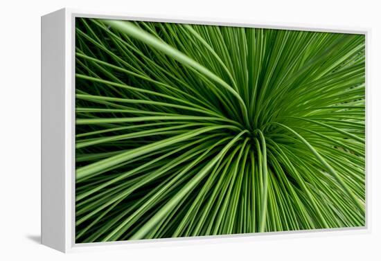 Green Grass-Charles Bowman-Framed Premier Image Canvas