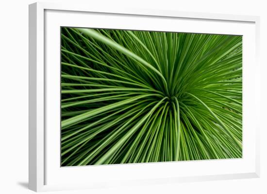 Green Grass-Charles Bowman-Framed Photographic Print