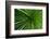 Green Grass-Charles Bowman-Framed Photographic Print