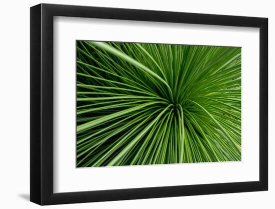 Green Grass-Charles Bowman-Framed Photographic Print