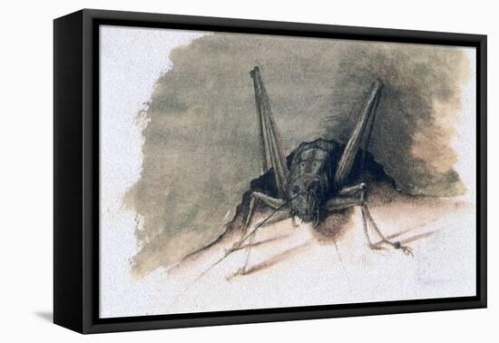 Green Grasshopper, 16th Century-Joris Hoefnagel-Framed Premier Image Canvas