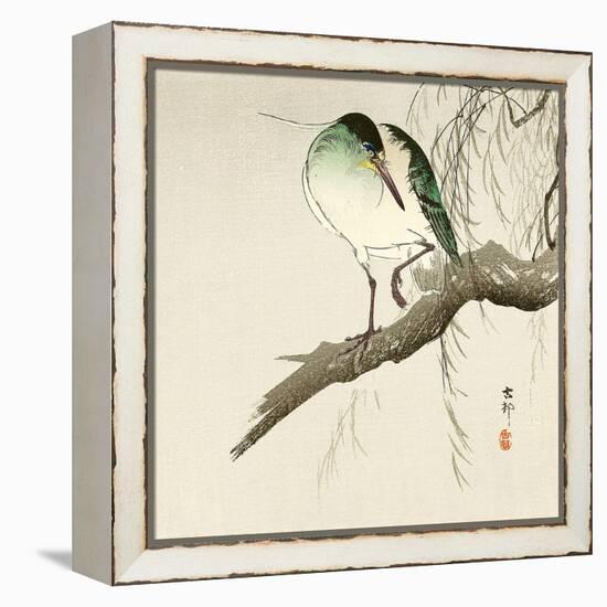 Green Heron on Branch-Koson Ohara-Framed Premier Image Canvas